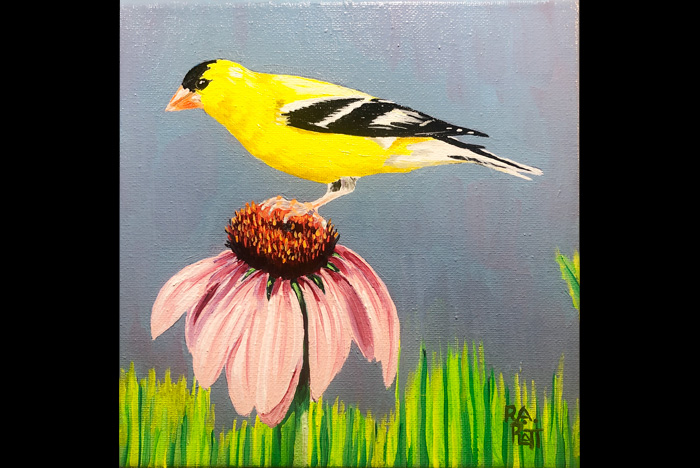 Mast General Store Valle Crucis NC.