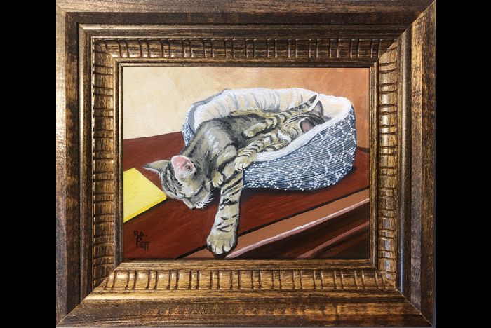 Amy & Shasta baby kitties.