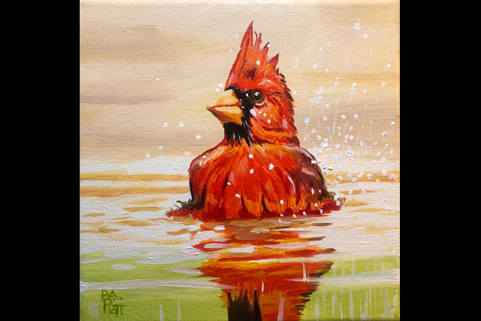 North Carolina Indigo Blue Bunting bird.