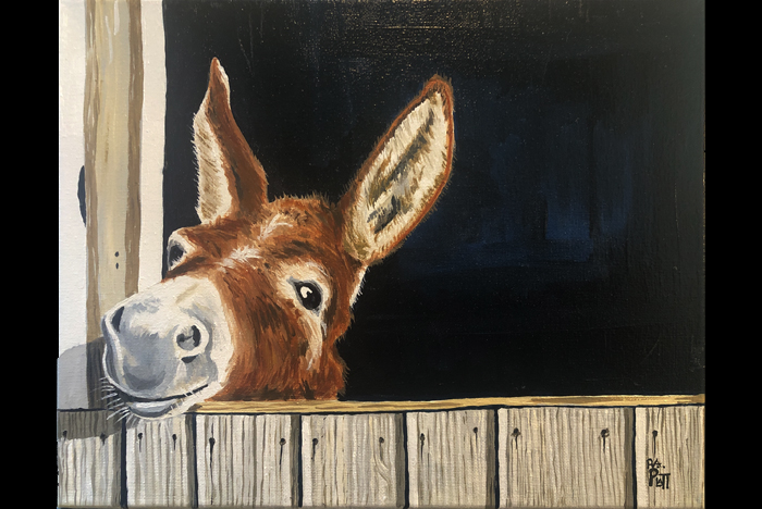 Mast General Store Valle Crucis NC.