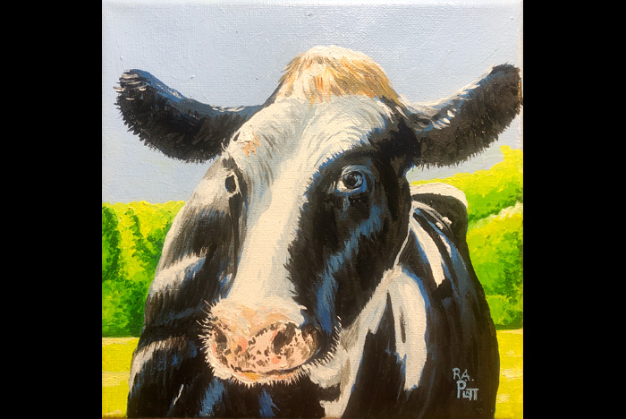 Holstein Cow Number one.