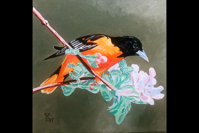 Mast General Store Valle Crucis NC.