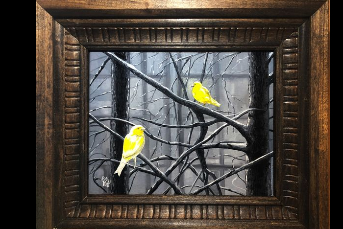 Yellow birds on a cloudy day