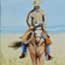 Oil painting of the West Texas Rider.